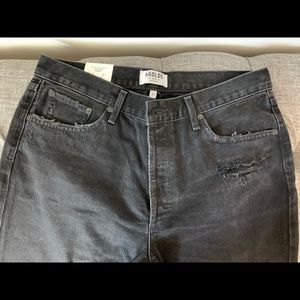 NWT AGOLDE JAMIE HIGH RISE CLASSIC FIT